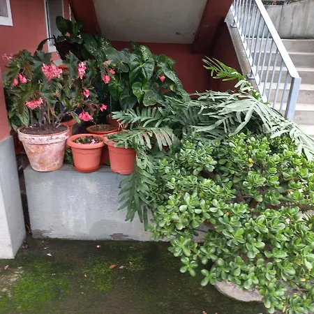 Casa Martins * Sao Vicente (Madeira)