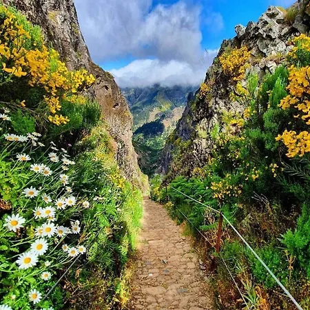 Casa Martins Nyaraló *