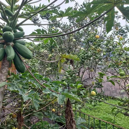 Casa Martins Vakantiehuis *