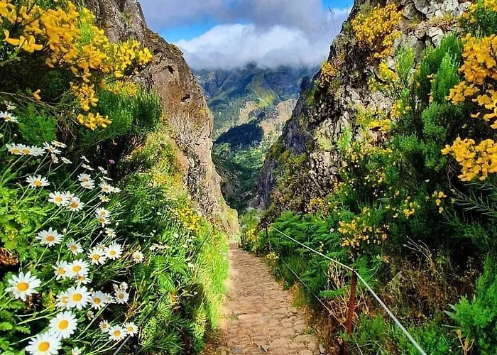 Casa Martins 度假居 *