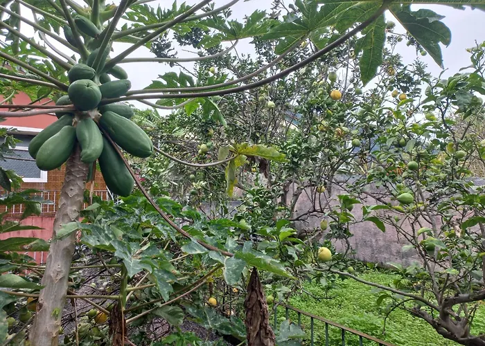 Casa Martins 度假居 *