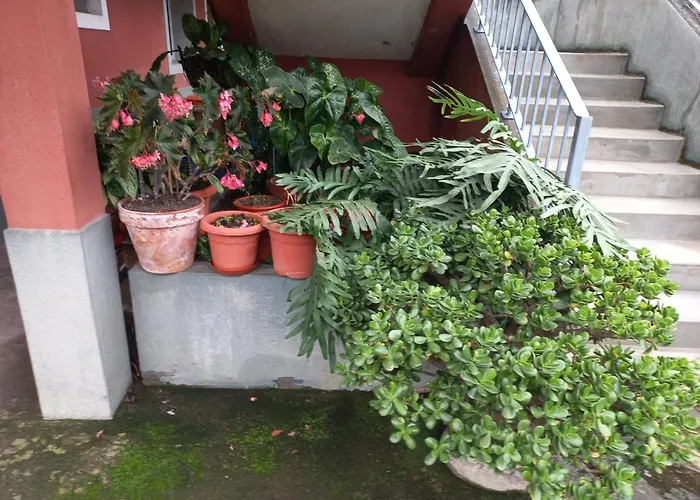 Casa Martins * São Vicente